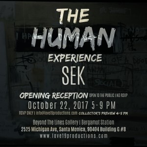 The Human Experience | SEK